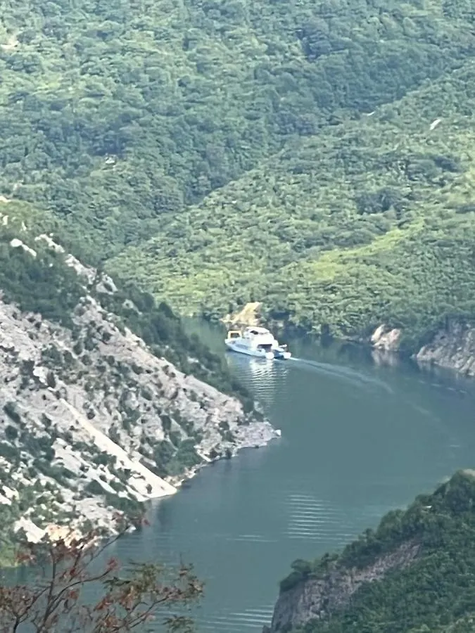 Bujtina Merturi Aprip Albânia